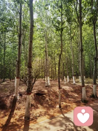 不必想太多，
想聊就聊，
聊完你轻松了，
也开心了，
我也有种成就感。