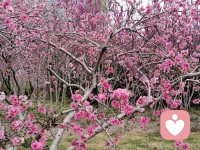 美景无处不在，别错失了好时光配图