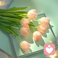 心里有光，眼底有星，日子慢慢过，温柔且坚定。愿你始终被生活善待，也始终善待自己。