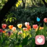 心里有光，眼底有星，日子慢慢过，温柔且坚定。愿你始终被生活善待，也始终善待自己。