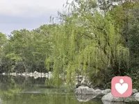 你不必渴求世俗的认可与旁人的偏爱，内心安宁自便是圆满。待人可以温和随和，处世却要心明澄澈、自有分寸；可以从容周旋人情世事，却绝不随波逐流、被世俗同化；可以永远心怀热忱奔赴人间烟火，缘分散尽、琐事扰心时，也能干脆抽身、果断离场。

这从来不是冷漠疏离，而是清醒自持。分清何为值得深耕，何为无谓喧嚣，过滤身边所有无关杂音。

人这一生，总下意识迁就他人期待，害怕被疏远、怕格格不入、怕脱离世俗规矩，一路小心翼翼活成别人喜欢的模样。走到最后才懂得，真正的自在从容，从不是外界的夸赞掌声，而是内心不慌不忙的平静底气。

人越松弛通透，生活越顺遂坦荡；越不执念纠结得失，万事反而自有安排。

当你褪去浮躁、不再急于求成，学着降低期待、悦纳自我，常怀乐观与坦然，世间所有美好，终会奔赴而来，水到渠成。