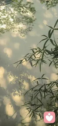 真正通透的人，终将明白一个共通的真理：
心理学、量子物理、儒道佛法、圣贤心学，看似殊途，实则同源。
它们穿越岁月长河，以不同的言语，向觉醒的你诉说同一个核心：
你从不是被命运摆布的过客，而是自身意识、能量与人生方向的创造者。

我们常说的心能转境，本就不是虚无缥缈的玄学，而是被无数智慧印证的规律：
心理学称之为内心投射——你眼中的世界，不过是内心的映照；
量子物理称之为观测效应——你的心念，参与塑造着现实；
佛家讲境由心生，道家言万法唯心，阳明说心外无物。
你心之所向，即是世界模样；你以何待人，世界便以何回应。

那些让你深陷痛苦的内耗与执念，各门智慧都在指引同一条出路：
心理学说，执念是自我束缚；
物理学看，内耗是能量空转；
佛家讲放下，道家讲顺其自然。
放下不是认输，而是不再与自己对抗，不再强求结果，顺应规律而行。
当你不再执着于抓取，反而会拥有更多；当你停止内耗，顺遂自然而来。

人这一生最强大的力量，来自内在的同频与合一：
心理学叫自我接纳、内在自洽；
道家叫顺势而为；
佛家叫安住当下；
物理叫同频共振；
阳明心学叫知行合一。
当你的心念、情绪、行动全然一致，你便不再是被动承受的角色，而是主导人生的主人。
步履从容，万事顺遂，自带光芒。

你本就拥有感知真理的灵性。
当你看懂这一切殊途同归的智慧便会懂得：
觉醒不是遥远的修行，而是回归本心。
放下执念， align 身心，顺随内在节奏，你自会活在被命运温柔托举的状态里，成为自己人生真正的主宰。
这，便是跨越千年，所有智慧共同指向的终极答案。配图