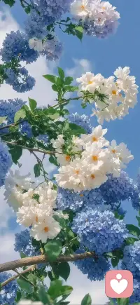 真正通透的人，终将明白一个共通的真理：
心理学、量子物理、儒道佛法、圣贤心学，看似殊途，实则同源。
它们穿越岁月长河，以不同的言语，向觉醒的你诉说同一个核心：
你从不是被命运摆布的过客，而是自身意识、能量与人生方向的创造者。

我们常说的心能转境，本就不是虚无缥缈的玄学，而是被无数智慧印证的规律：
心理学称之为内心投射——你眼中的世界，不过是内心的映照；
量子物理称之为观测效应——你的心念，参与塑造着现实；
佛家讲境由心生，道家言万法唯心，阳明说心外无物。
你心之所向，即是世界模样；你以何待人，世界便以何回应。

那些让你深陷痛苦的内耗与执念，各门智慧都在指引同一条出路：
心理学说，执念是自我束缚；
物理学看，内耗是能量空转；
佛家讲放下，道家讲顺其自然。
放下不是认输，而是不再与自己对抗，不再强求结果，顺应规律而行。
当你不再执着于抓取，反而会拥有更多；当你停止内耗，顺遂自然而来。

人这一生最强大的力量，来自内在的同频与合一：
心理学叫自我接纳、内在自洽；
道家叫顺势而为；
佛家叫安住当下；
物理叫同频共振；
阳明心学叫知行合一。
当你的心念、情绪、行动全然一致，你便不再是被动承受的角色，而是主导人生的主人。
步履从容，万事顺遂，自带光芒。

你本就拥有感知真理的灵性。
当你看懂这一切殊途同归的智慧便会懂得：
觉醒不是遥远的修行，而是回归本心。
放下执念， align 身心，顺随内在节奏，你自会活在被命运温柔托举的状态里，成为自己人生真正的主宰。
这，便是跨越千年，所有智慧共同指向的终极答案。配图