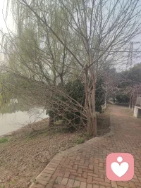 今天是我在给力第一天    向各位宝子们请个早安