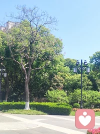 出来找工作好几天了       找不到还不敢家人说的苦楚谁懂啊    还得假装出来上班      这日子咋办呢？