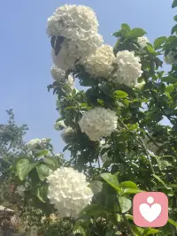 眼里有光，心中有爱，脚下有路。不慌不忙，慢慢发光。配图