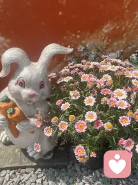 眼里有光，心中有爱，脚下有路。不慌不忙，慢慢发光。配图