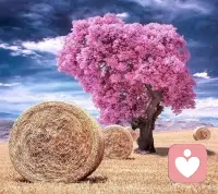 夜色温柔，万事可期配图