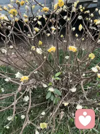 不必光芒万丈，但始终温暖有光。