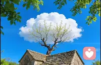 情绪没有对错，每一种感受都值得被看见。
此刻，我在这里，等你来与我诉说你的情绪。配图