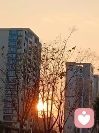 倾听者，有时候不想给亲人朋友说的一些话，这时候就需要一个安静的默默地倾听你的话的人，恰巧我就是这样的人，有什么想说的来找我吧。配图