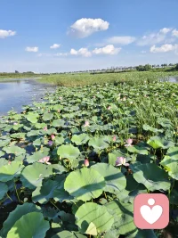 所有的努力不是为了让别人觉得你了不起，而是为了让自己打心里看得起自己。配图
