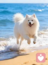 生活在忙，也别忘了给自己一点温柔与安心。
我在认真听，陪你走过情绪的每一段路配图