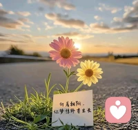 心若向阳，何惧彷徨，认真生活，就值得所有温柔。配图