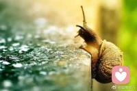 慢慢来，谁不是摸着石头过河，一步一步走稳就好。配图