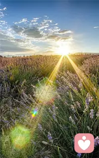  慢慢来，你已经很努力了，剩下的交给时间，一切都会慢慢变好。配图