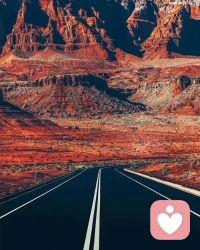  不必急着奔赴答案，好好生活，就是对自己最好的交代。配图