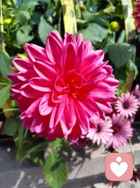 你不需要很厉害才开始，开始了，才会慢慢变厉害。配图