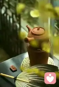  清晨的阳光，是新的希望，不慌不忙，向阳生长。配图