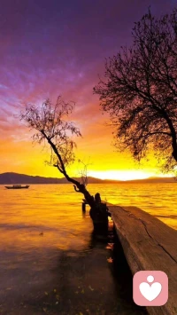 每一个清晨，都是一次重新开始，放下烦恼，迎接美好。