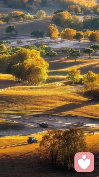 生活是旷野，不是轨道，大胆往前走就好。