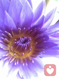 保持热爱，奔赴山海，平凡日子也能开出花来。