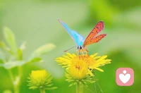 认真生活，就能找到生活藏起来的糖果。