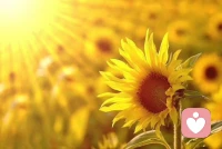 你只管努力，剩下的交给时间。