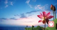 稳住心态，慢慢变好