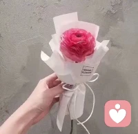  当下努力，终有回甘