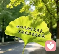 好好生活，慢慢相遇。配图