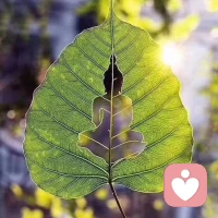 今天的不开心就到此为止吧，明天依旧光芒万丈。