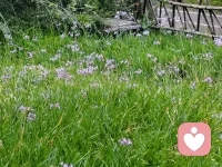 如果事与愿违，那就换个方向或许会有不一样的风景！配图