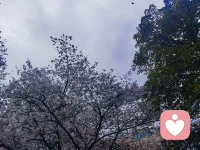 放松心情，周末必须是愉快的！允许别人做别人…期待少了自然快乐就多了😘配图