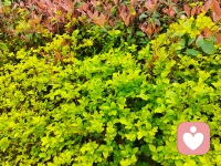 保持对未来的憧憬与信心
每一天都是新的开始，加油呀~配图