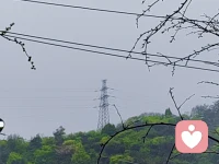 治愈人心，从倾听开始！你说，我在…配图