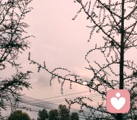 因为自己淋过雨，所以更懂满身狼狈的委屈！如果你愿意…我一直在！配图