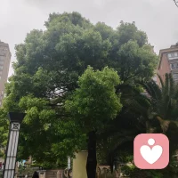 抑郁，从不是简单的不开心，也不是矫情的玻璃心，它更像是一场悄无声息的感冒，让原本鲜活的世界慢慢蒙上了一层灰蒙蒙的雾！