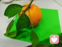 心灵并不是孤岛，我们的潜意识有着惊人的渗透力，它既是病理性的防御，让我们推卸责任.也是最原始的沟通，让我们得以触碰彼此最深沉的痛苦，我们的工作就是成为一个结实的“容器”，接住那些飞来的“情绪手雷”，拆除引信，再把安全的零件还给对方！