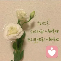 你不是懒，不是矫情，只是太想掌控一切。

但人生不是程序，允许自己偶尔“卡机”，才能跑得更远。配图