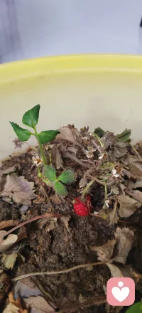 懂你做妈妈的累，也懂你做女人的委屈🥺配图