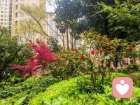 迷茫是路途的一部分，

而非它的全部。

走稳脚下的这一步，

光，会在下一程亮起。

（配图