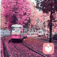 岁月很长，人海茫茫，别回头也别将就