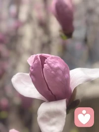 钱你定（备注:自愿赠予）
微信 
情绪稳定
(看你的需要)
保守秘密配图