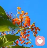 人这一生，
会遇见很多人，
有人陪你一程，有人陪你一生。
不必遗憾，
相遇是缘分，离开也是。
愿你历经山河，依然觉得人间值得。