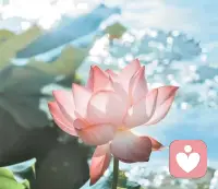 那些错过的人，遗憾的事，终究会变成过往，沉淀在记忆深处。不必强迫自己忘记，也不必反复纠结伤痛，就让那些温柔的、心酸的、遗憾的片段，安放在属于它们的角落，成为时光里的一抹剪影。我们要做的，不是沉溺于过去，而是带着过往的经历，好好往前走。