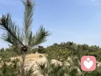 走进自然，回归自然配图