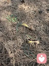 走进自然，回归自然配图