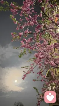 早上起来电力十足，一到晚上就感觉快力竭～最近以来都是这样的状态，我这是怎么了？