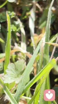 春雷不是天上打的，是心里头憋了太久的那口气，终于找到了出口。
春雨也不是天上落的，是眼眶里转了又转的泪，终于肯往下淌。
心理学不说这些大道理。它只说：雷响了，你就醒醒；雨来了，你就接住。心里有动静～那叫活着。
你听～这声春雷——像不像你终于肯原谅自己的那一下？配图